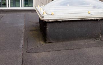 disadvantages of Pwll Mawr flat roofs