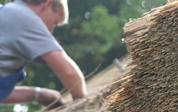 professional Pwll Mawr thatchers