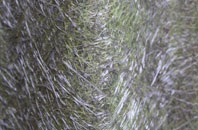 Pwll Mawr fibreglass roof work